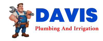 Trusted plumber in BUCHANAN DAM